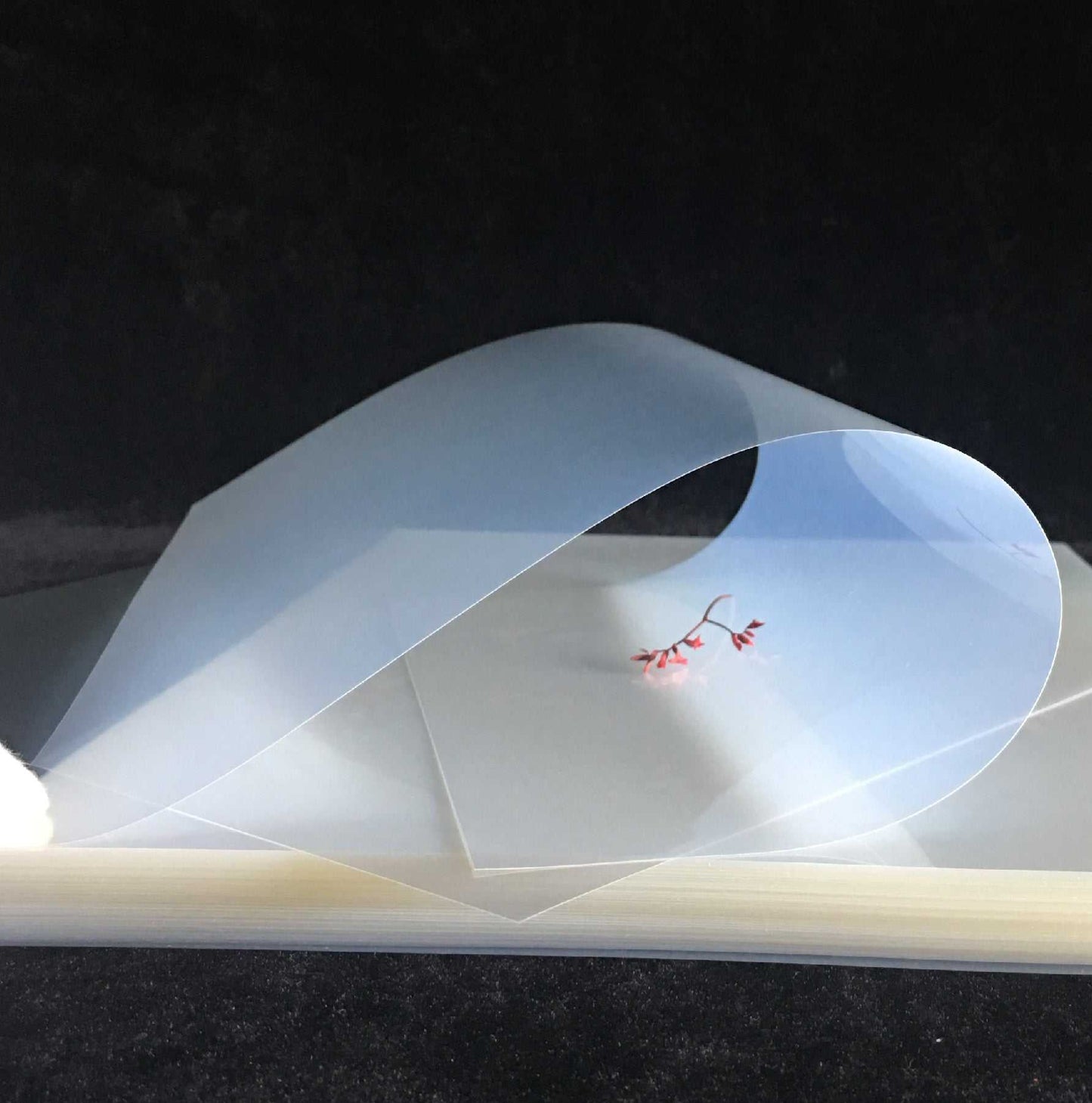 Rollo Film Waterproof para Serigrafía 33cm x 30m – Positivos Inkjet Alta calidad