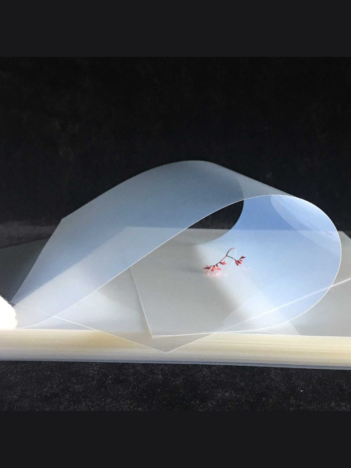 Rollo Film Waterproof para Serigrafía 60cm x 30m – Positivos Inkjet Alta calidad
