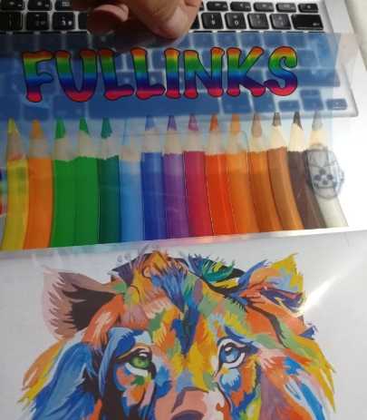 Vinil Inkjet SemiTransparente 21cm x 10mts contra agua