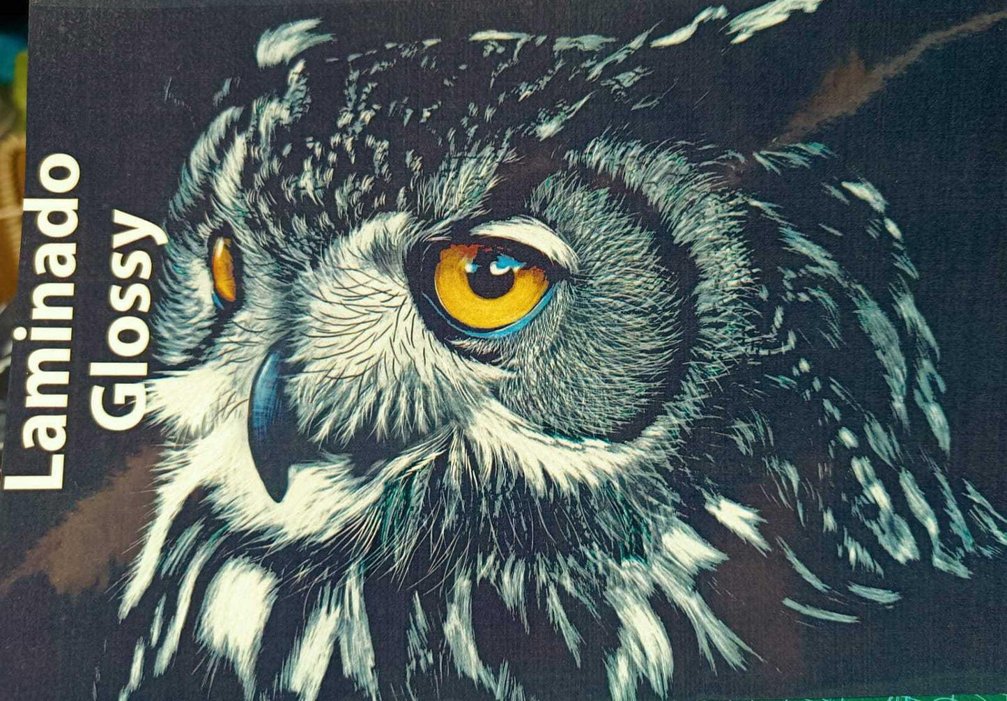 Laminado en Frío en Rollo – 31 cm de Ancho x 30mt