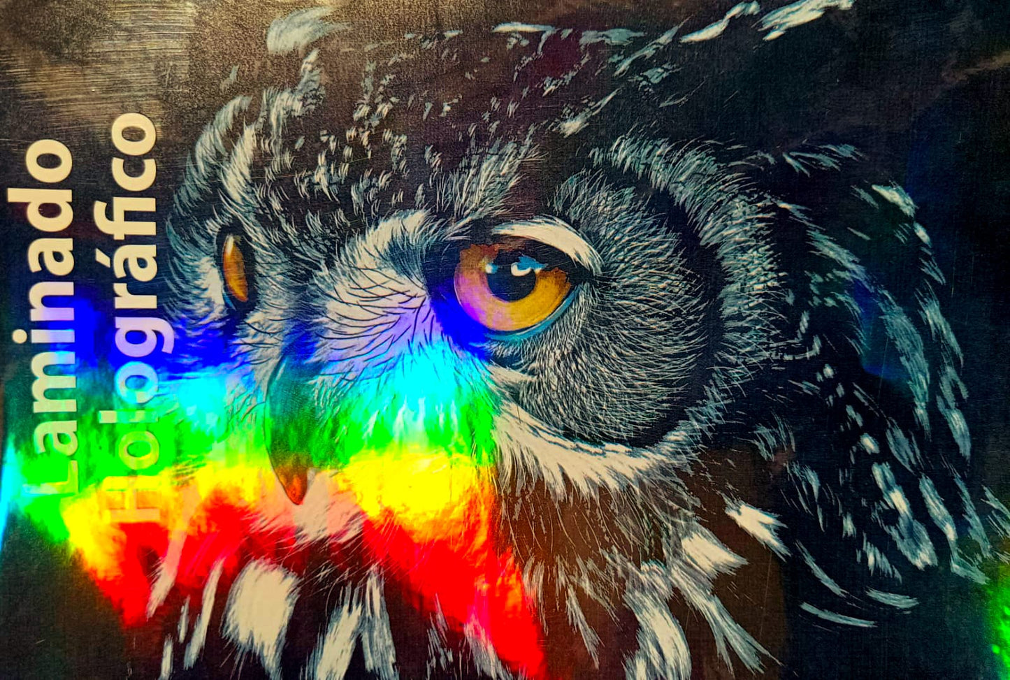 Laminado en Frío en Rollo – 31 cm de Ancho x 5mts