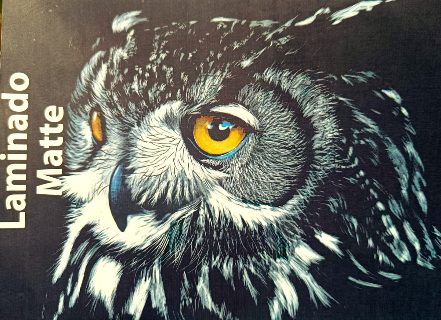 Laminado en Frío en Rollo – 31 cm de Ancho x 5mts