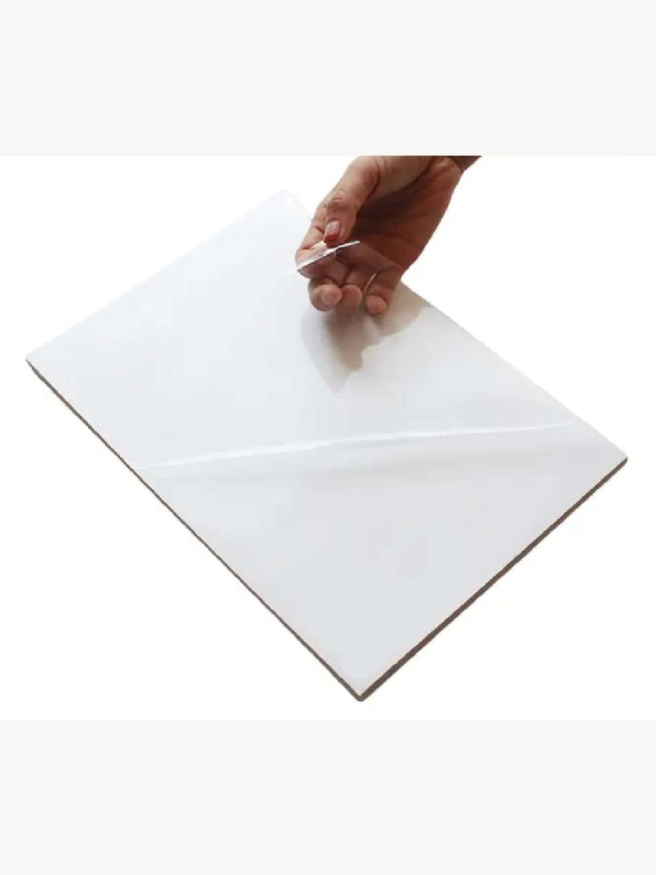 Vinil para Laser A4 50 Hojas transparentes