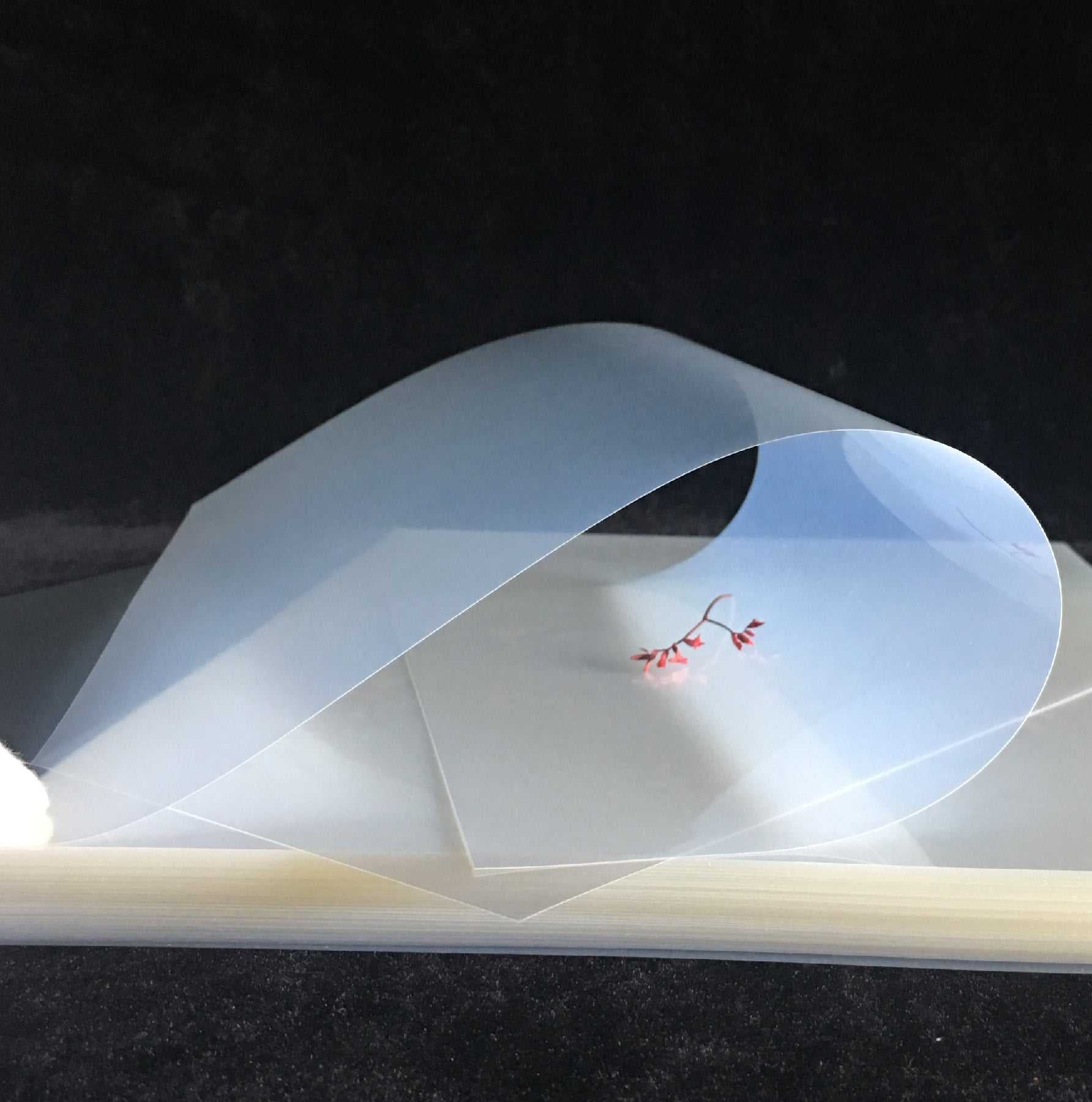 Rollo Film Waterproof para Serigrafía 60cm x 30m – Positivos Inkjet Alta calidad