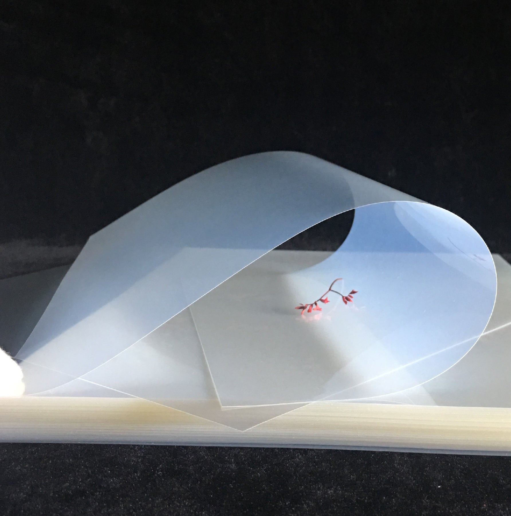 Film Inkjet Contra agua para positivos de serigrafía Hojas A3+ 13x19"