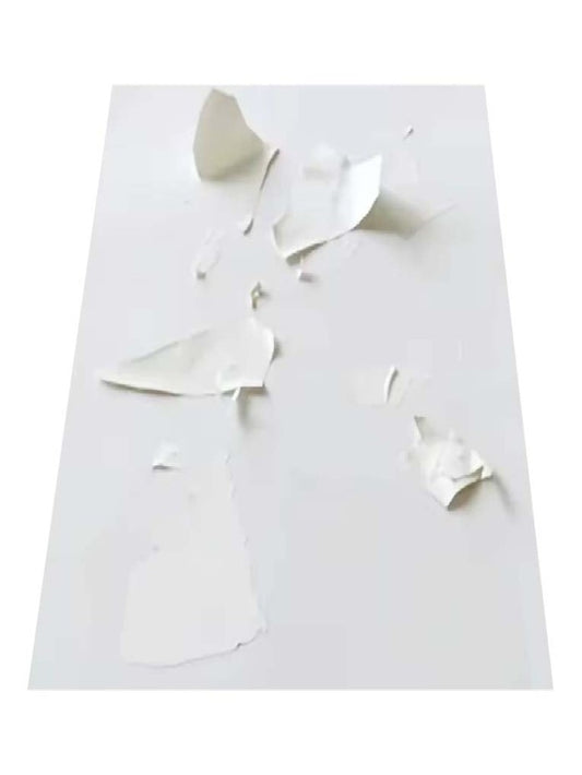 Papel eggshell destructible seguridad a4 InkJet (blanco) y láser (holográphico).