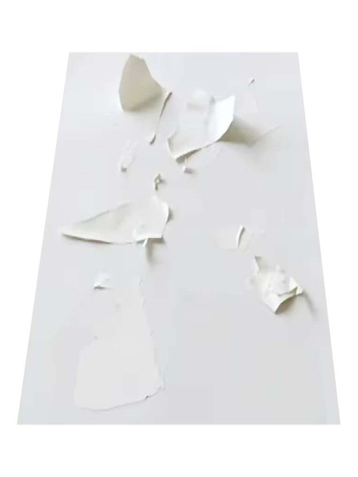 Papel eggshell destructible seguridad a4 InkJet (blanco) y láser (holográphico).