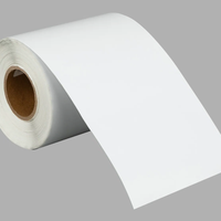Vinil Inkjet Imprimible Blanco mate 21cm x 25mts