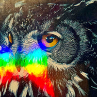 Laminado en Frío en Rollo – 31 cm de Ancho x 30mt