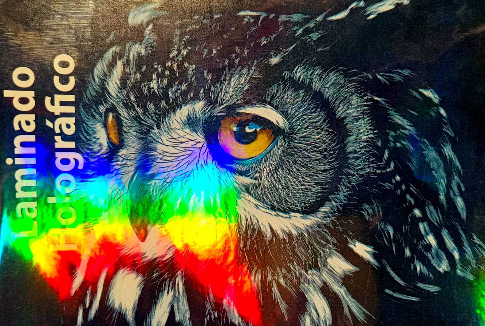 Laminado en Frío en Rollo – 31 cm de Ancho x 30mt