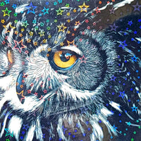 Laminado en Frío en Rollo – 31 cm de Ancho x 30mt