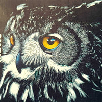 Laminado en Frío en Rollo – 31 cm de Ancho x 30mt