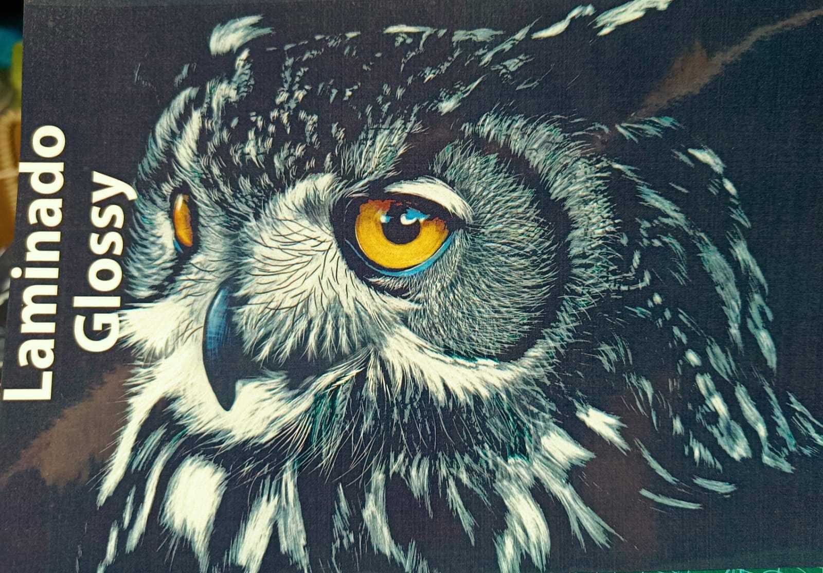 Laminado en Frío en Rollo – 31 cm de Ancho x 30mt