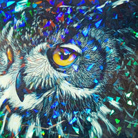 Laminado en Frío en Rollo – 31 cm de Ancho x 30mt