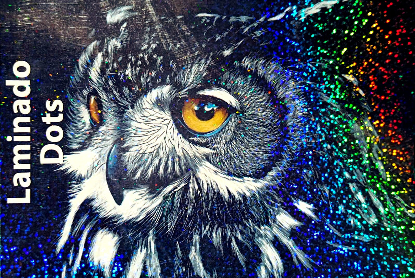 Laminado en Frío en Rollo – 31 cm de Ancho x 5mts