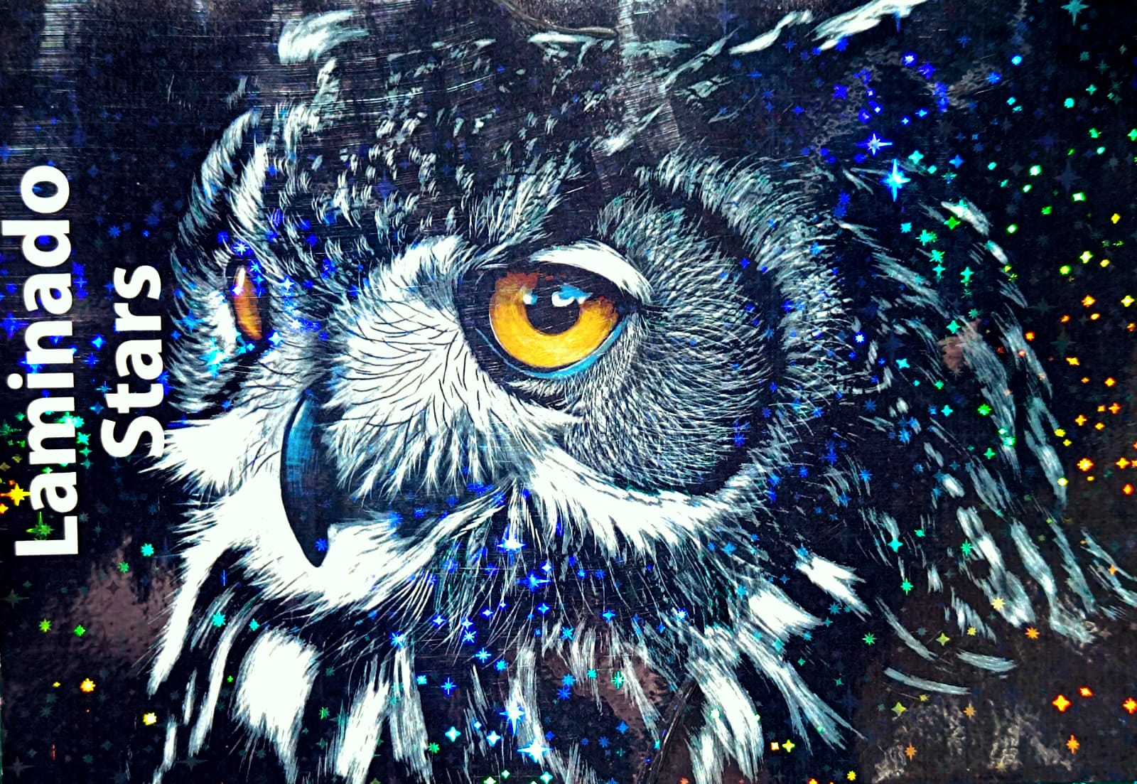 Laminado en Frío en Rollo – 31 cm de Ancho x 5mts