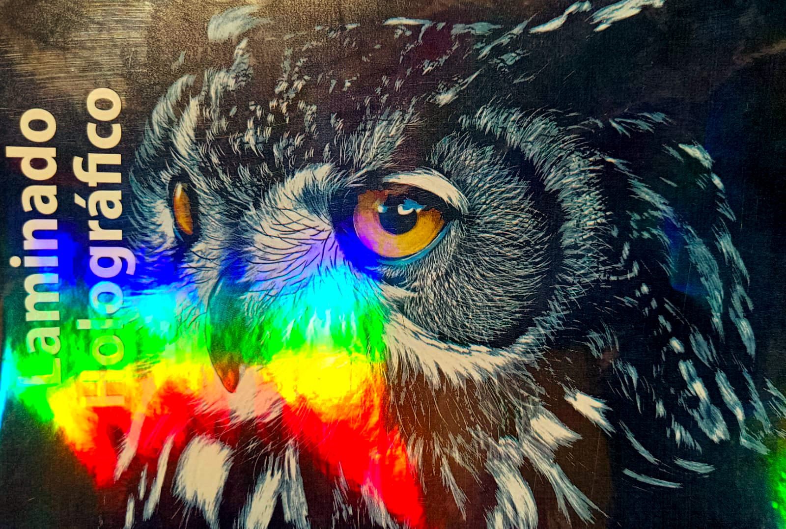 Laminado en Frío en Rollo – 31 cm de Ancho x 5mts