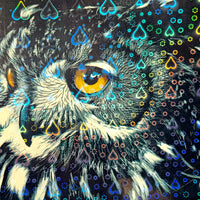 Laminado en Frío en Rollo – 31 cm de Ancho x 5mts