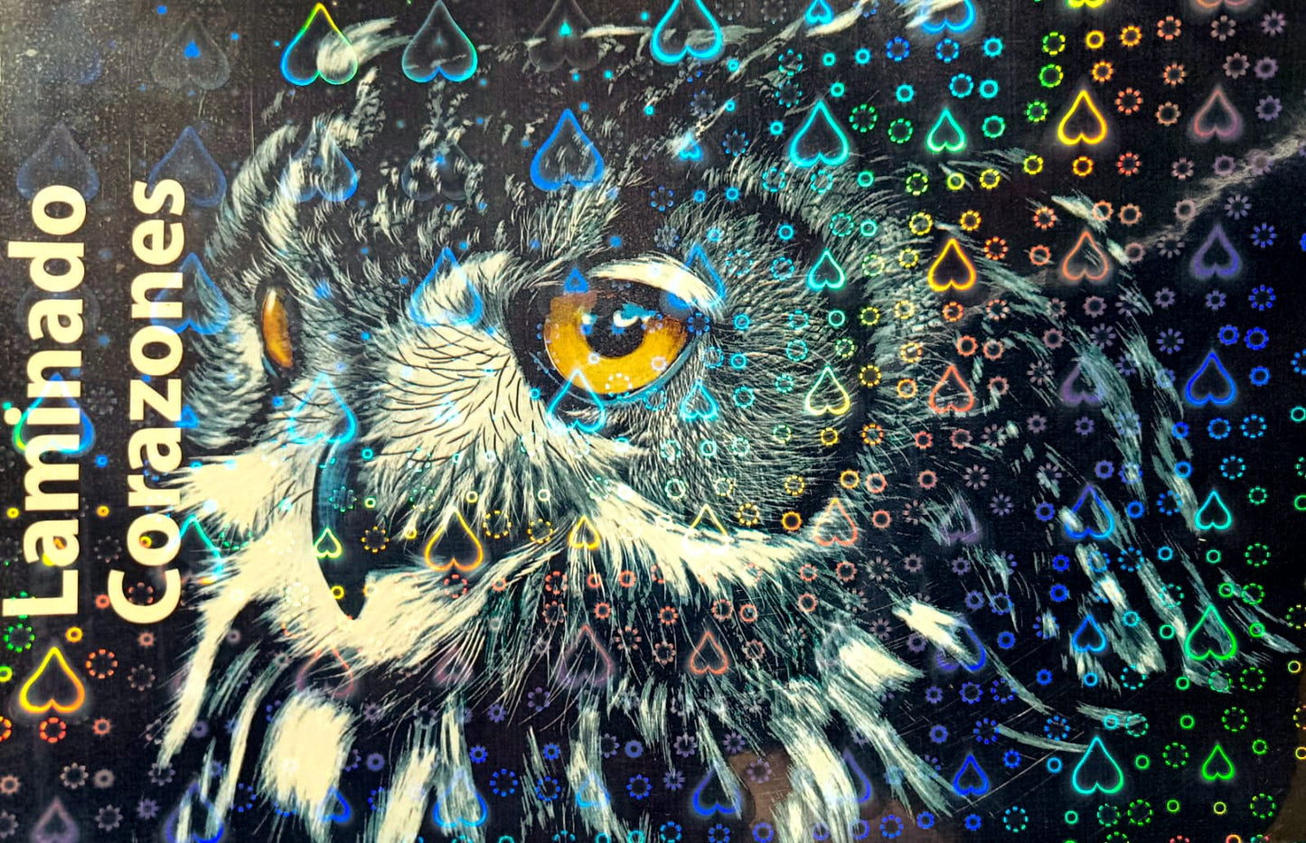 Laminado en Frío en Rollo – 31 cm de Ancho x 5mts