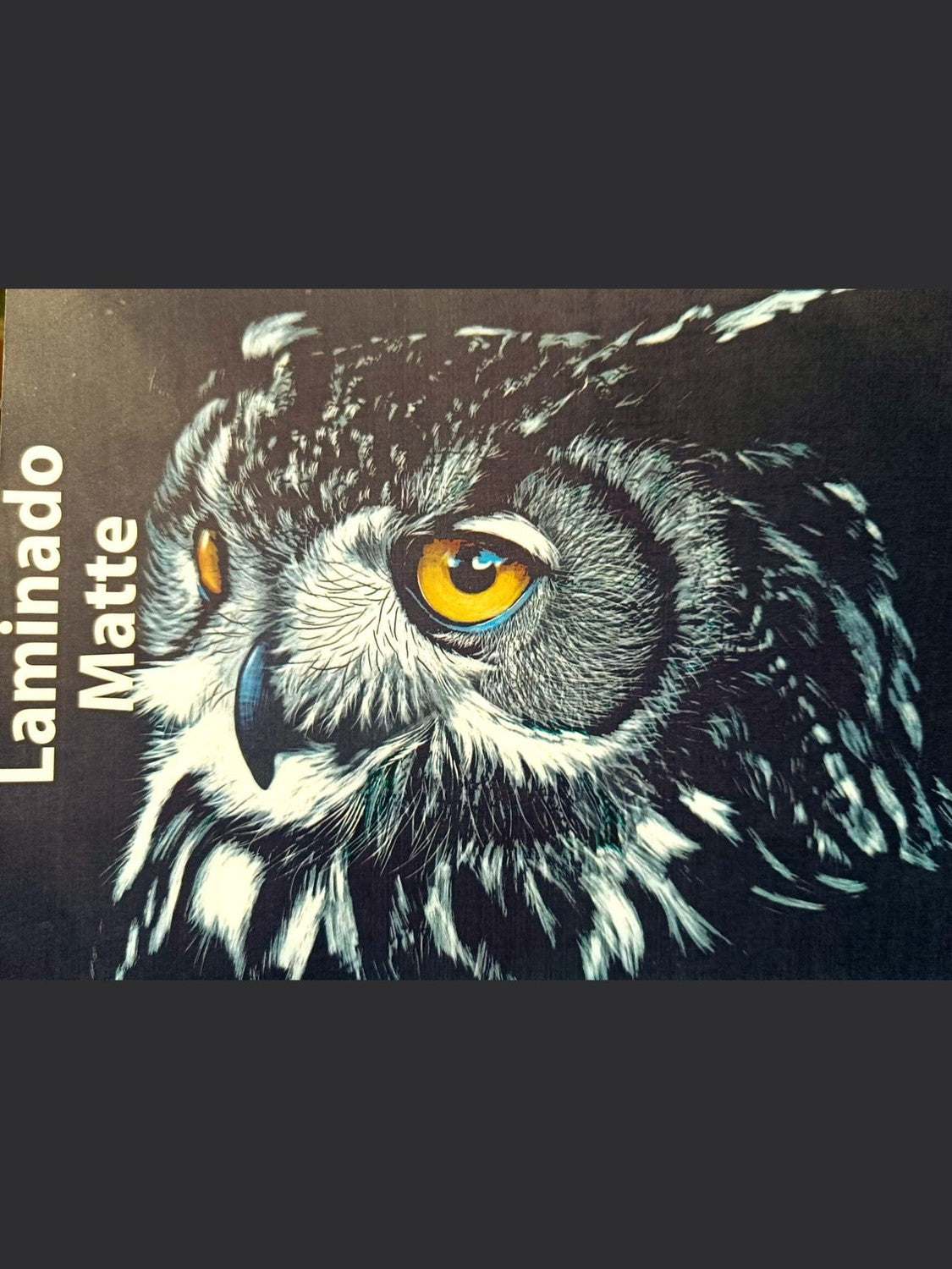 Laminado en Frío en Rollo – 31 cm de Ancho x 5mts