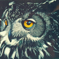 Laminado en Frío en Rollo – 31 cm de Ancho x 5mts