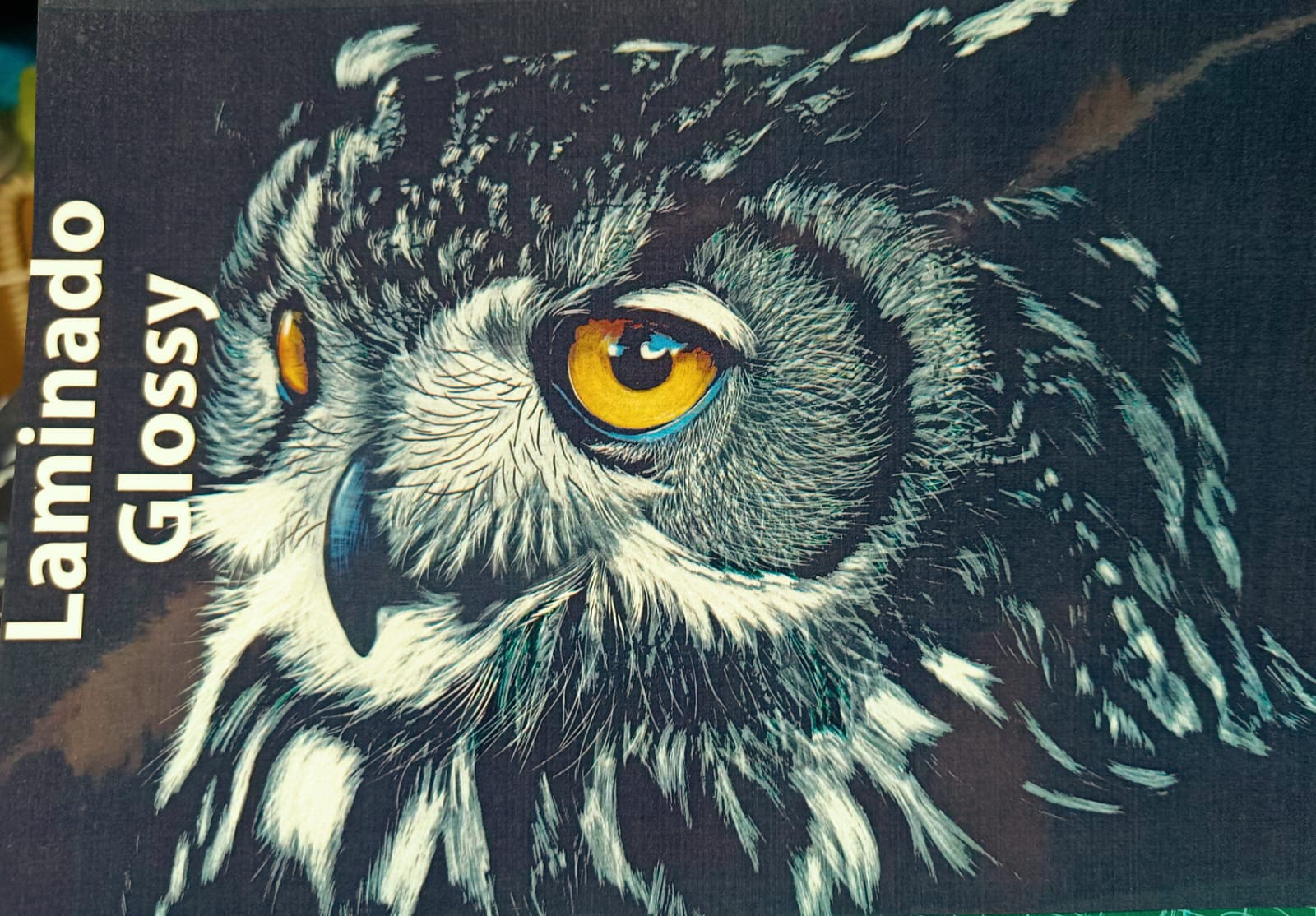 Laminado en Frío en Rollo – 31 cm de Ancho x 5mts