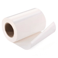 Vinil Inkjet Imprimible Blanco Glossy 30cm x 5mts