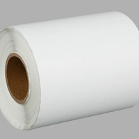 Vinil Inkjet Imprimible Blanco mate 21cm x 25mts