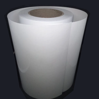 Vinil Inkjet SemiTransparente 21cm x 10mts contra agua