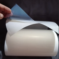 Vinil Inkjet SemiTransparente 21cm x 10mts contra agua