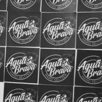 Vinil Inkjet SemiTransparente 21cm x 10mts contra agua